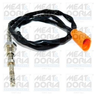 Sensor, exhaust gas temperature
